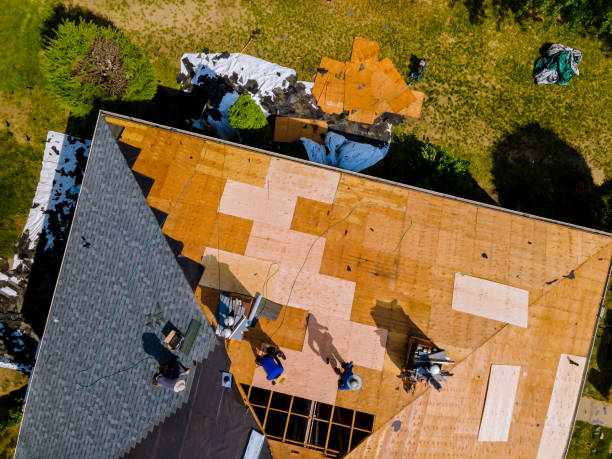 Roof Gutter Cleaning in Franklin, TN